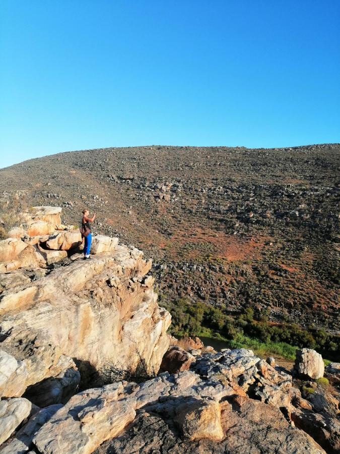 Oudrif Farm Clanwilliam Exterior foto