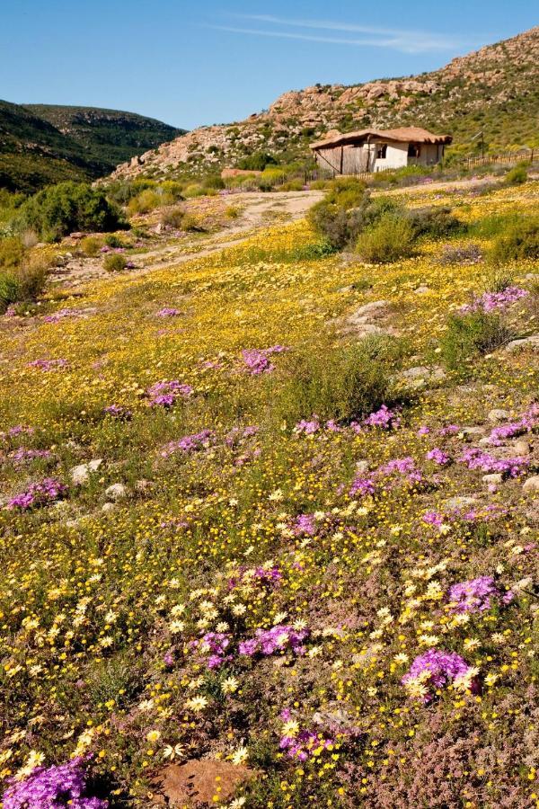 Oudrif Farm Clanwilliam Exterior foto