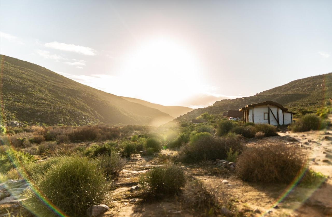 Oudrif Farm Clanwilliam Exterior foto