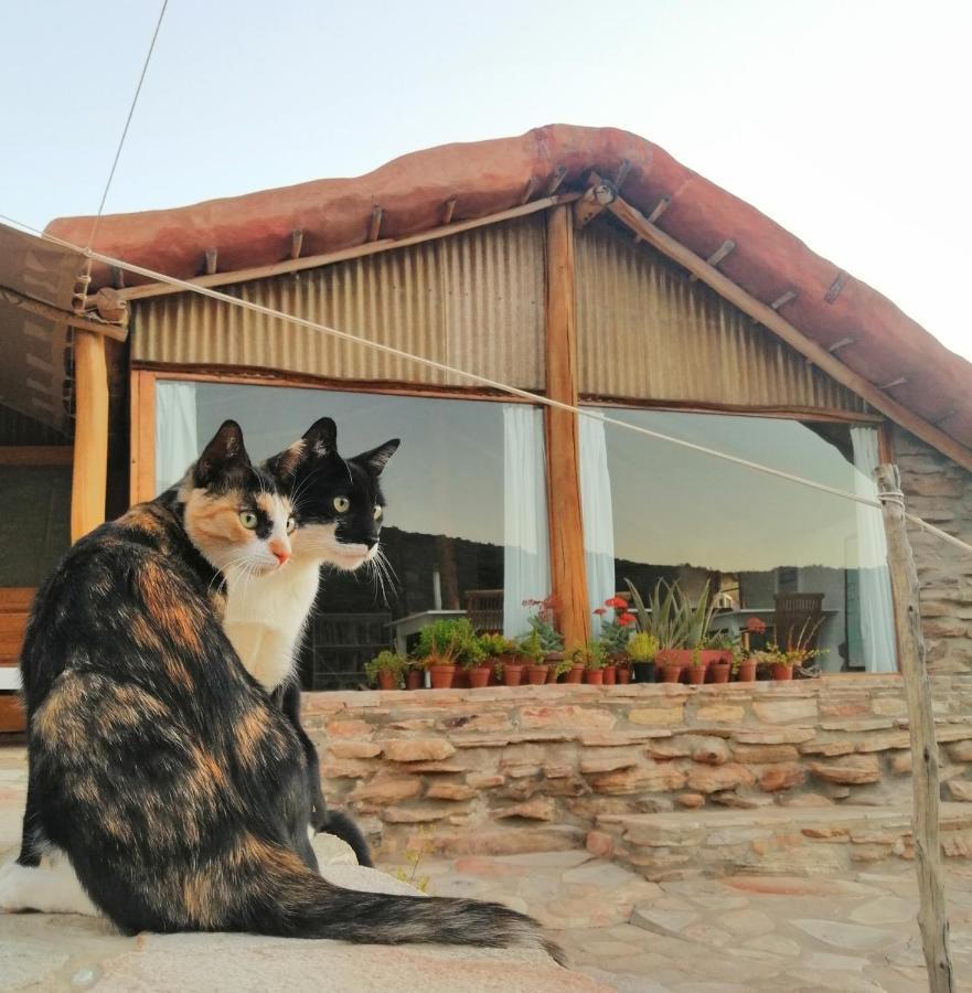 Oudrif Farm Clanwilliam Exterior foto