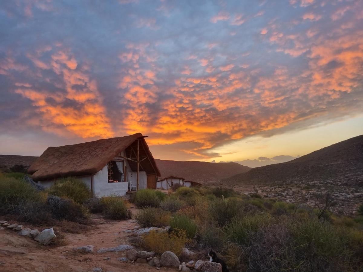 Oudrif Farm Clanwilliam Exterior foto
